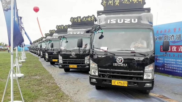 ISUZU Delivery Waiting Line Black