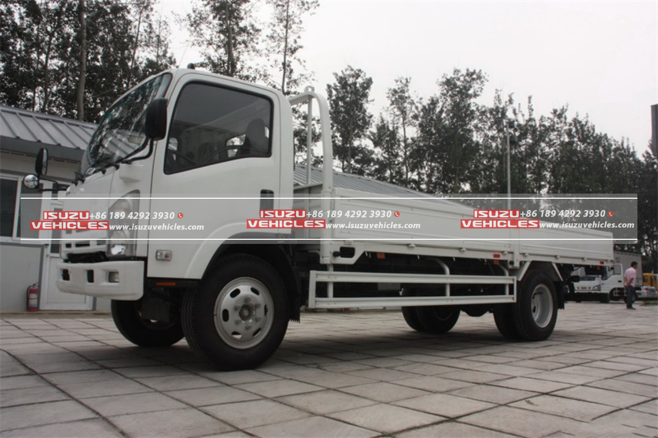 ISUZU Cargo Truck (2)