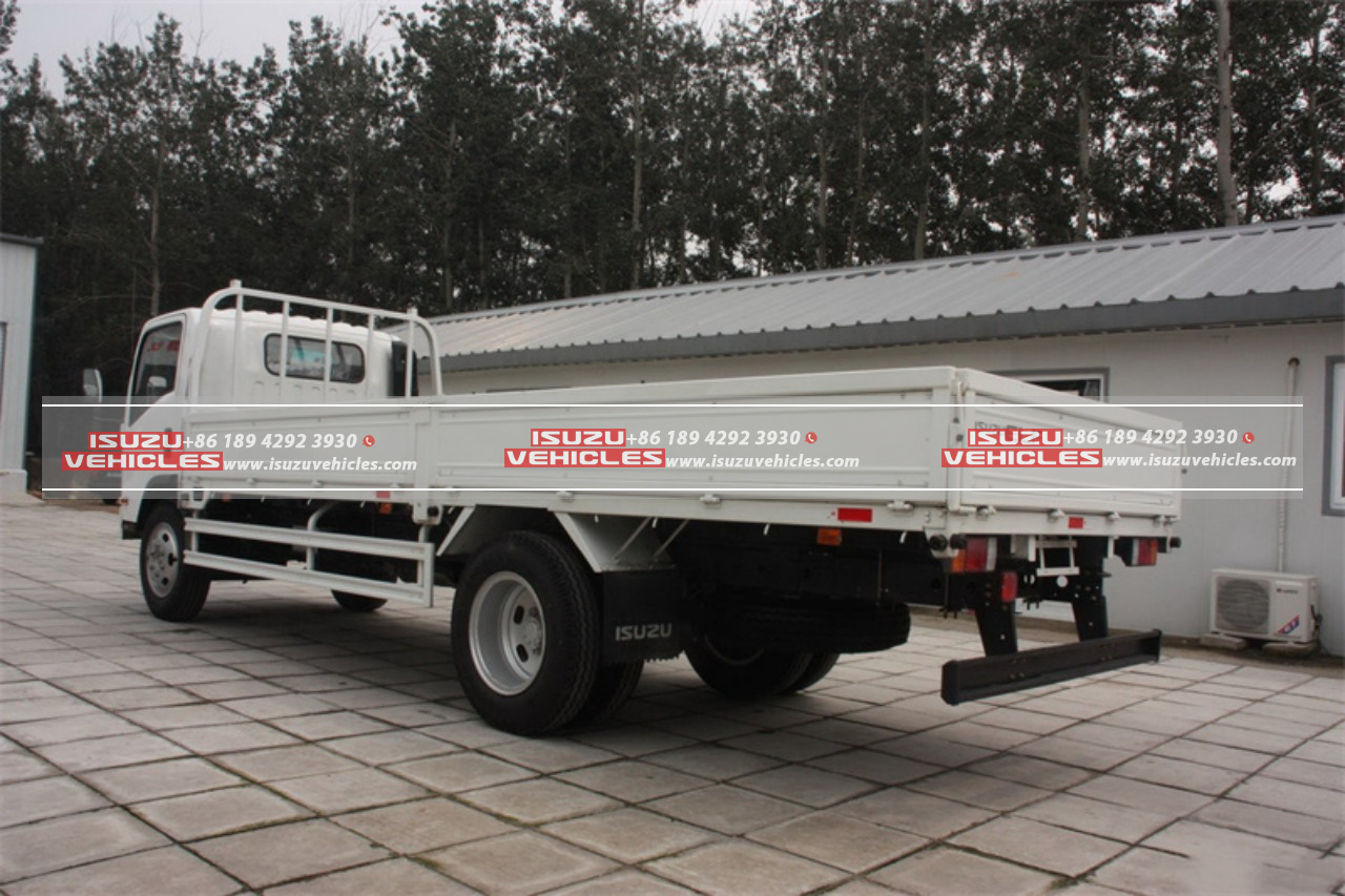 ISUZU Cargo Truck (3)