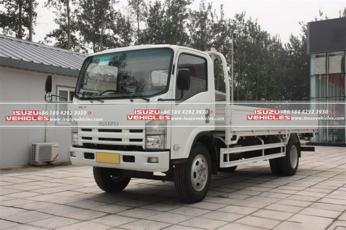 ISUZU Cargo Truck