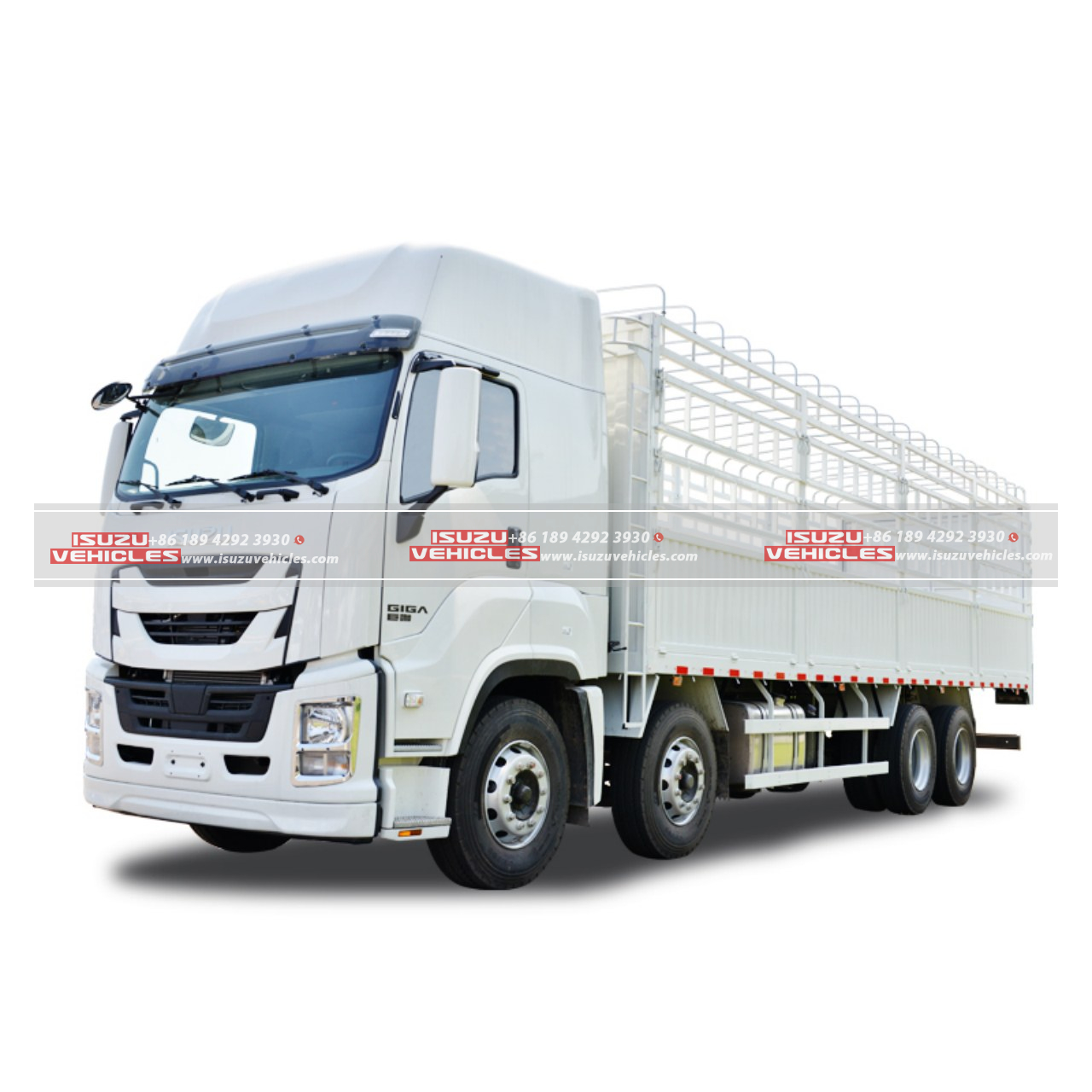 ISUZU GIGA truck (2)