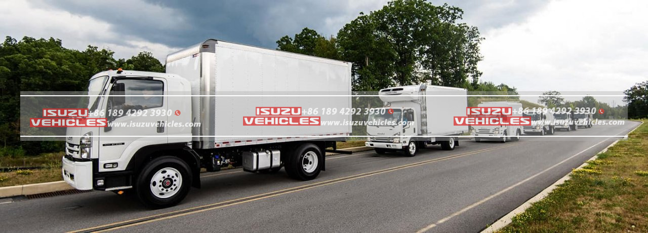 ISUZU Truck (2)