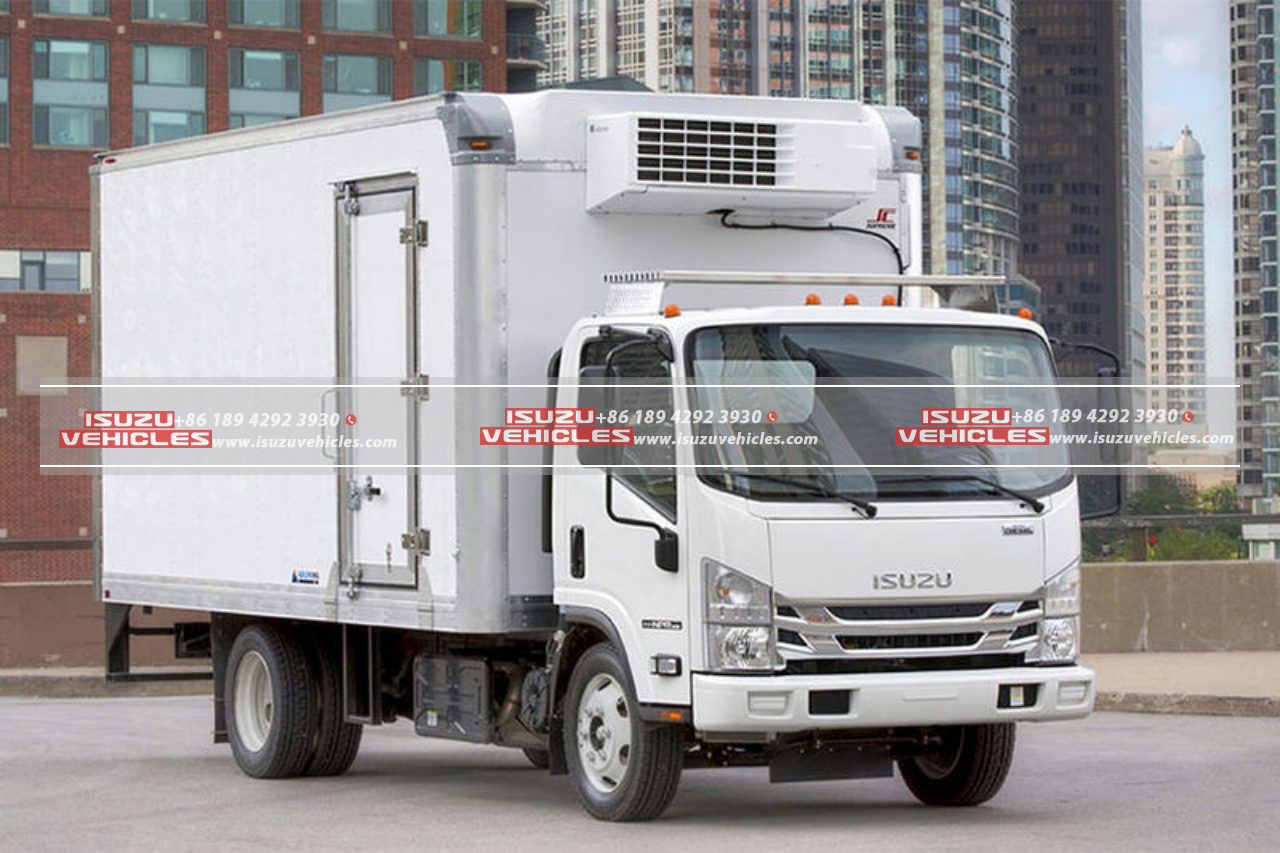 ISUZU truck (3)