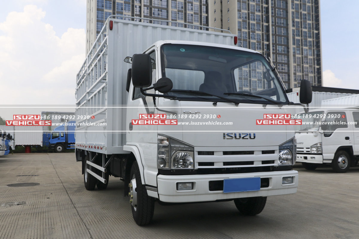 ISUZU 5 Meter Single Row Box Cage Truck - ISUZU Vehicles
