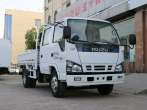 ISUZU 600P 3.2 Meter Cargo Truck