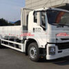 ISUZU GIGA 6.6 Meter Cargo Truck