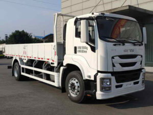 ISUZU GIGA 6.6 Meter Cargo Truck
