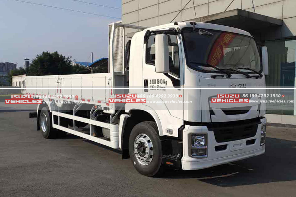 ISUZU GIGA 6.6 Meter Cargo Truck