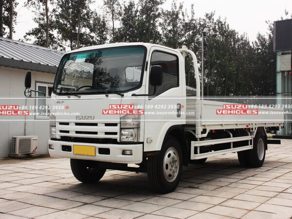 ISUZU 700P 6 Meter Cargo Truck Left