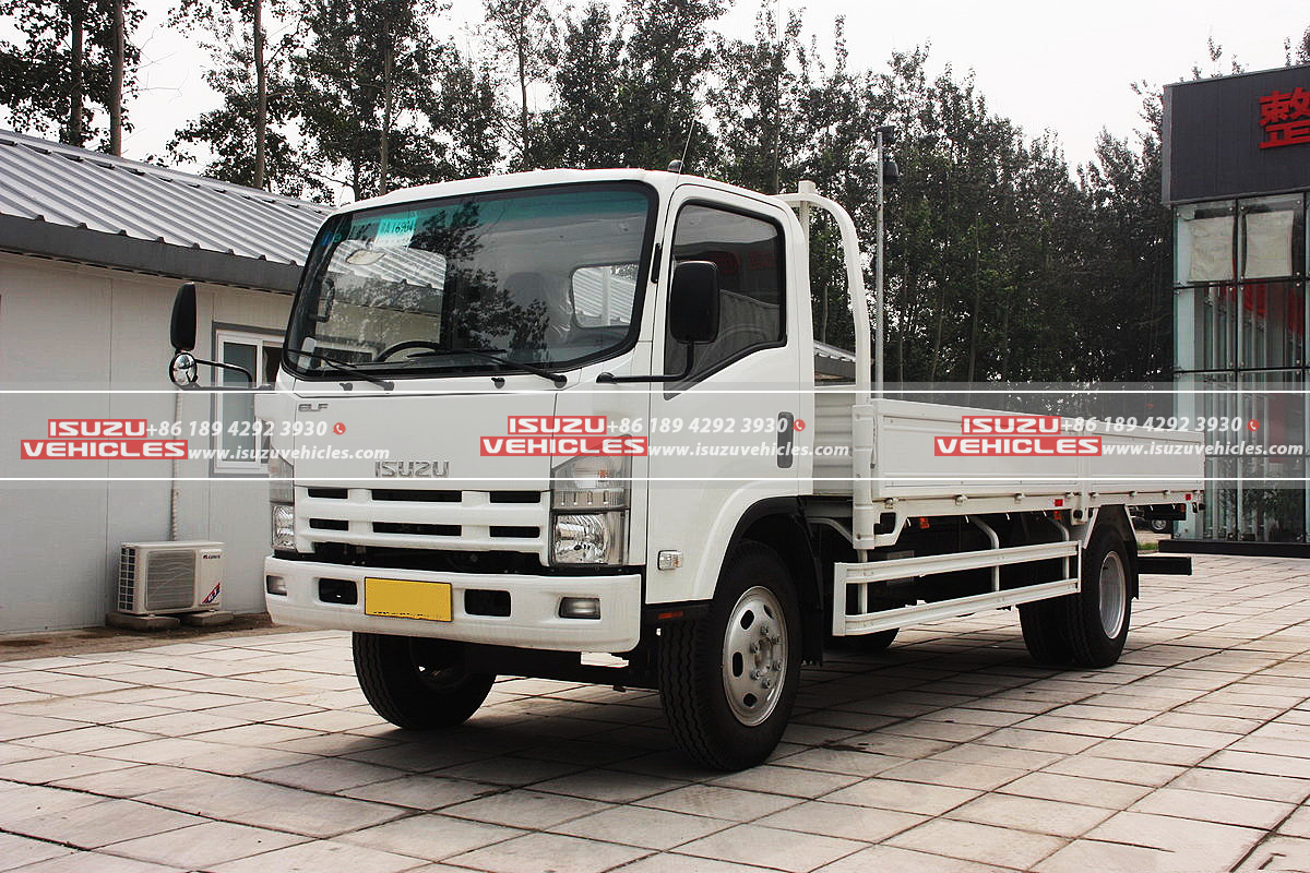 ISUZU 700P 6 Meter Cargo Truck Left
