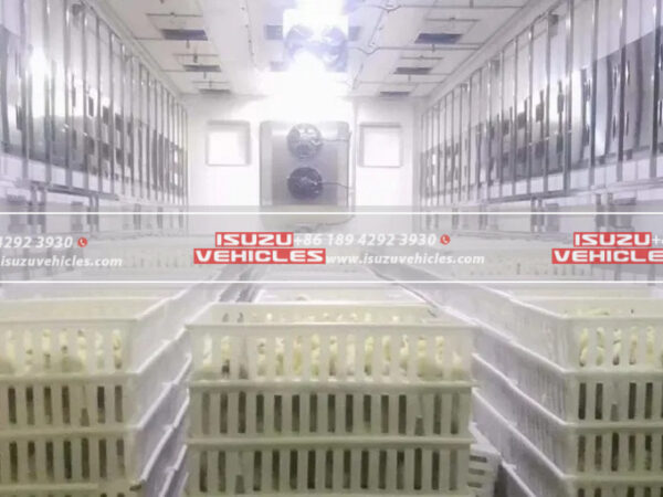 ISUZU Hatched Chicken Transport Van Truck in Tank