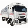 ISUZU 31 Ton Livestock Cargo Truck Main