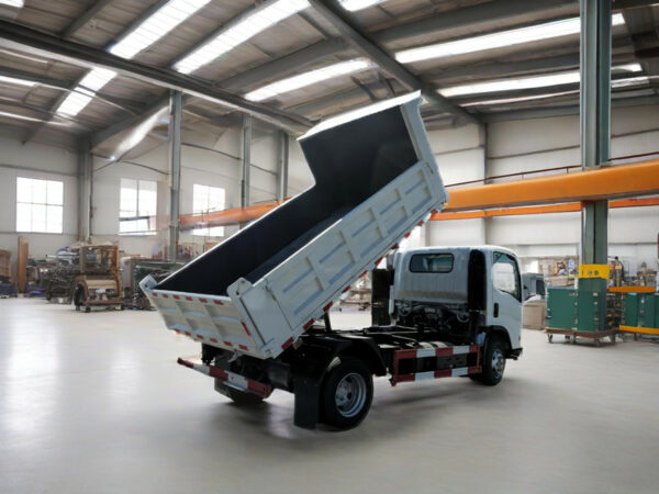 ISUZU 700P 6 Ton Dump Truck Side Back